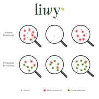 Liwy Startpaket